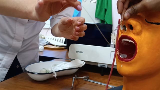 Задняя томпанода носа / ENT practicle смотреть онлайн