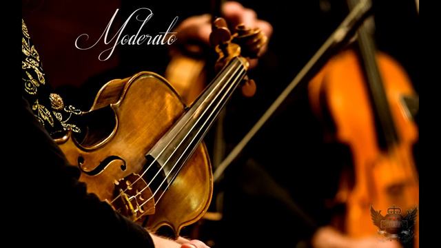 Orchestral Gangsta Hip Hop Rap Instrumental "Moderato" [SOLD] смотреть онлайн