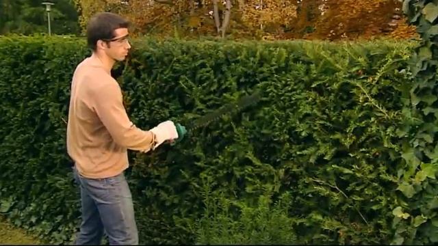 AHS 48 52 neueCI 2010 смотреть онлайн