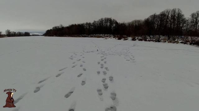 Каждому по Щуке к Новому Году 2023 Зимняя рыбалка на жерлицы на реке Сок смотреть онлайн