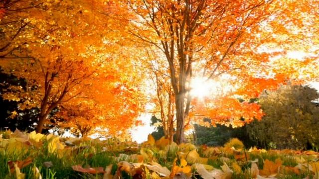 Галина Давыдова. Мне никто уже не пишет... смотреть онлайн