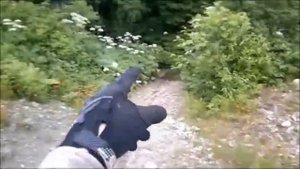 покатуха за горным, за аралией (Сахалин)