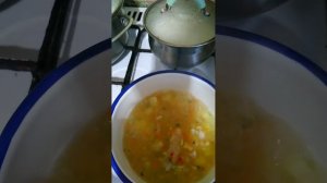 ЛЕЧЕБНЫЙ СУП -ПЮРЕ ПРИ ЭРОЗИИ ЖЕЛУДКА И ЖКТ .  СТОЛ N1