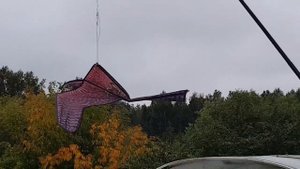 Защита урожая от птиц - легко!ТопСад.