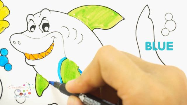 How to Draw Starfish, Dolphin, Shark, Turtle for Tolders | Coloring Beach Animals for Kids смотреть онлайн
