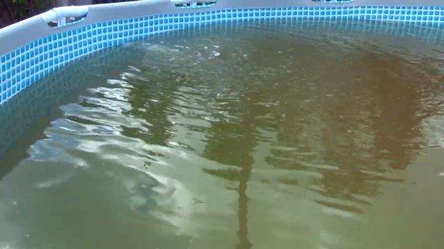 Очистка бассейна перекисью водорода. Безопасная химия для бассейна. Intex 366х99.
