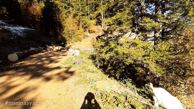 ЖИЗНЬ В ТУРЕЦКОЙ ДЕРЕВНЕ смотреть онлайн