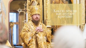 "Какую землю наследуют кроткие". Проповедь епископа Феодорита в день памяти Святителя Николая.