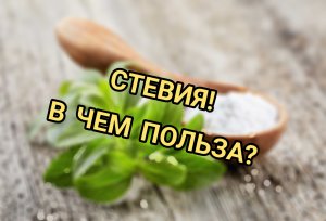 **Привет здоровью, прощай лишние килограммы: преимущества стевии для фитнес-любителей! **