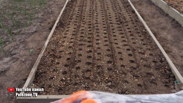 СДЕЛАЙ И СЕБЕ ТАКОЕ ХИТРОЕ ПРИСПОСОБЛЕНИЕ ДЛЯ БЫСТРОГО ПОСЕВА ЛУКА смотреть онлайн