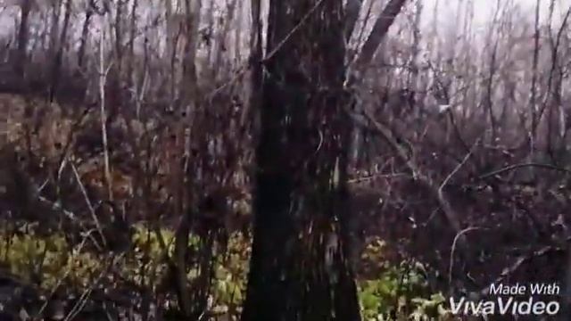 Поделки для детей, из леса ЧАСТЬ1 смотреть онлайн