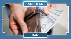 Horoscop chinezesc Sobolan 2021. Previziuni complete în horoscop chinezesc SOBOLAN 2021