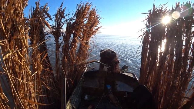 Охота на утку в открытом море. Как охотятся на утку на Кубани.
