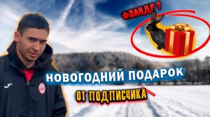 САМЫЙ БОЛЬШОЙ КРОЛИК В МИРЕ/ПОДАРОК ОТ ПОДПИСЧИКА/ГОД КРОЛИКА
