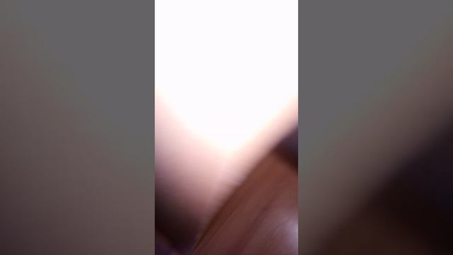 кратко о том как я живу и что у меня находится под краватью