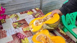 Тыква сорт мраморная на 16 июля.