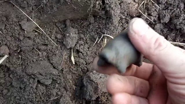 #коп_шурф_старинногодома# пуговица инженеров путей Ри 1917г смотреть онлайн