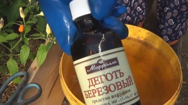 КРОТЫ сбегут в считанные минуты! ЭФФЕКТИВНОЕ средство ОТ КРОТОВ! смотреть онлайн