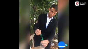 Как сделать гелевый шарик в домашних условиях