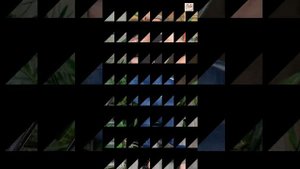 Jessica Praun 🇧🇷...| Curvy Fashion Model | Brazilian Plus Size Model | Biography & Facts