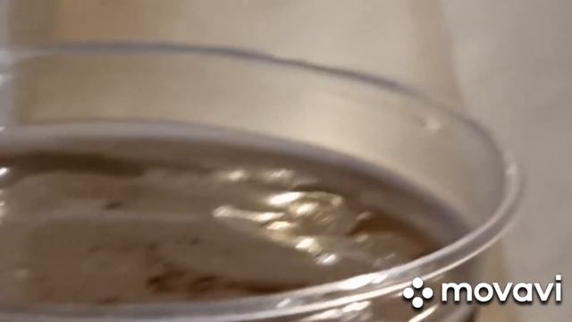 А нужен ли такой шведский стол. Сочи парк отель Вся правда как кормят отдыхающих