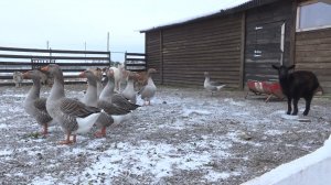 В Шиловском районе открыли экодеревню