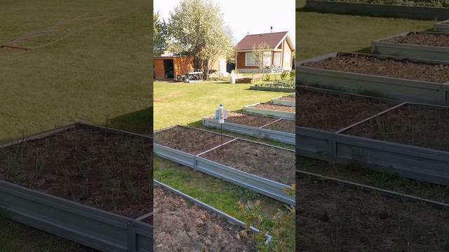 Один день из жизни семьи в своём доме. Сажали кукурузу, рассказали о цветах.