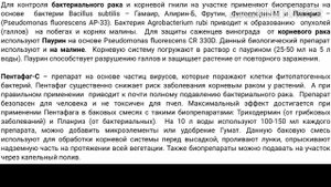 Роза не растет. Корневой рак растений, как лечить(Часть1)