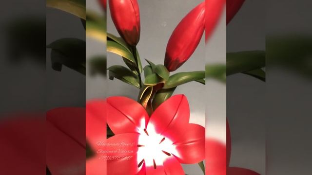 Лилия Бордо смотреть онлайн