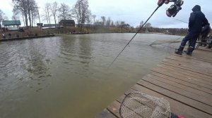 Ловля форели на блесны ANTEM DOHNA