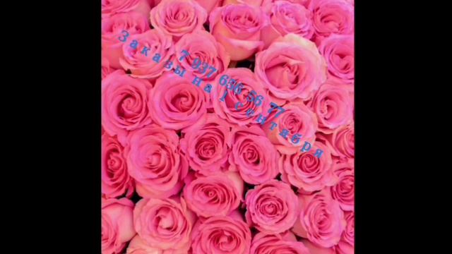 АКЦИЯ!!! 7 937 656 56 77 Самара Кошелев Финютина 45 салон цветов "Дари красиво" смотреть онлайн