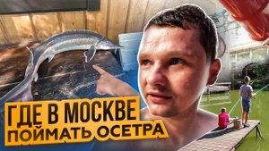 ЛОВИМ ОСЕТРА в центре Москвы. Сколько это стоит. Аквапарк Лужники. ВДНХ. Рыбацкая деревня ВДНХ. | 4К