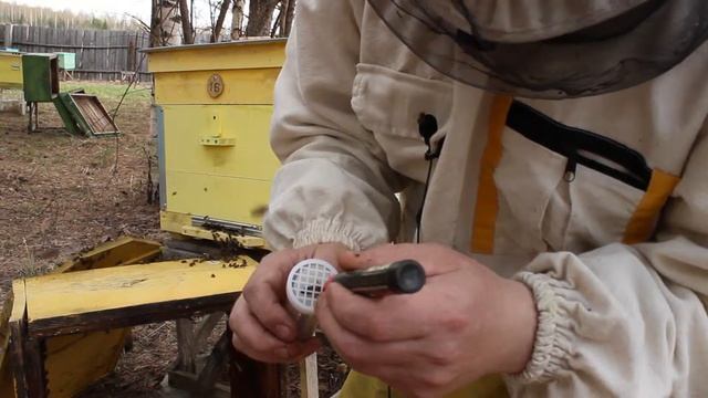 Как пометить матку! Маркеры и приспособления. смотреть онлайн