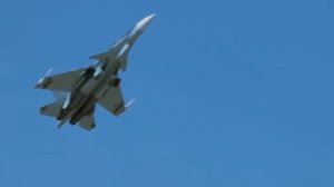 Сухой СУ-30см эдит