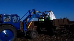 Вносим Удобрения аммофос под подсолнечник.