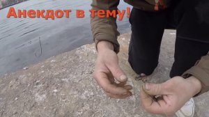 Рыбалка на Неве в апреле. Донка, фидер, спиннинг.