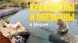 ПУТЕШЕСТВИЕ ПО ИНДИИ 2024! ВОДОПАД АМБОЛИ!