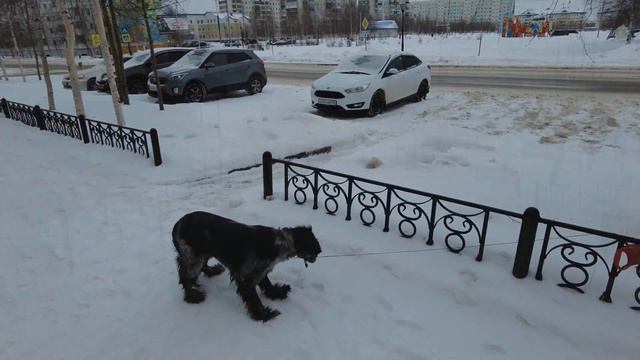 Второй микрорайон. Радужный ХМАО