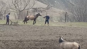 Будни с. Куба Лакский район