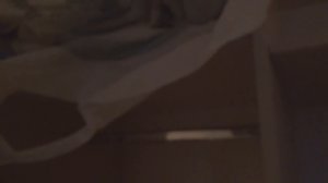 Обзор новой квартиры Савельева