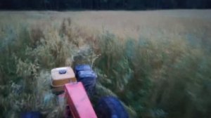 За дровами на мотоблоке МТЗ