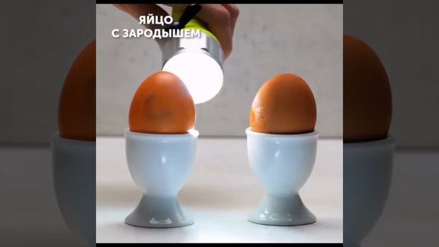 Как отличить натуральное от искусственного! ?✌