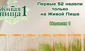 Евгений Агафонов, "Личный опыт сыроедения" Проект "52 Недели" . Неделя 1. (34)