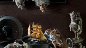 Мы хомяки и мы хомячим Юмор Ансамбль Семицветик