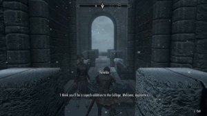 Skyrim Anniversary Edition: How to Make an Illusion Assassin!