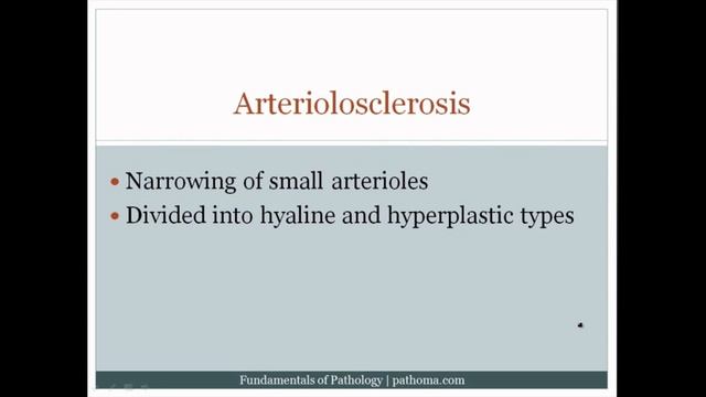 Pathoma USMLE - VII ГЛАВА - 3.Артериосклероз