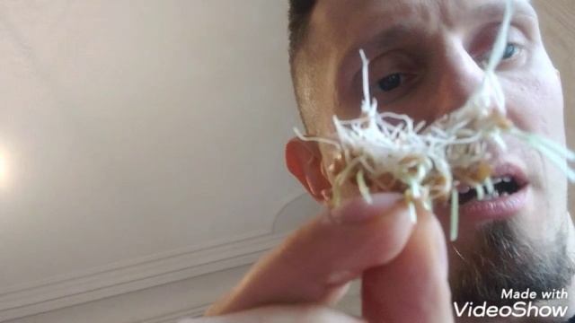 Пророщенная пшеница