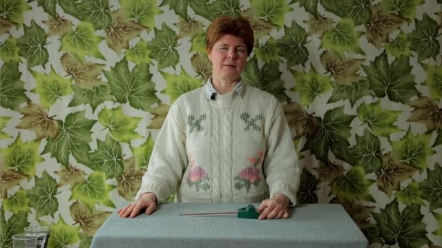 Главный помощник в СЕЗОН ПОСАДКИ. Ph-метр. смотреть онлайн