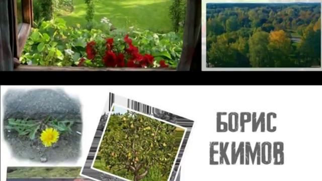 ЧИТАЕМ БОРИСА ЕКИМОВА смотреть онлайн