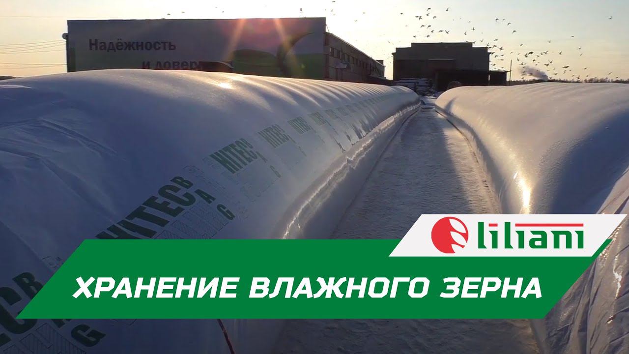 Хранение сухого и влажного зерна на примере ГК СОДРУЖЕСТВО, 2016 г. смотреть онлайн